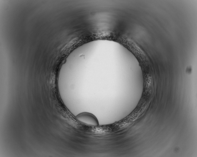 X0000097980565200804071128