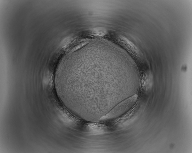X0000097980568200804071128