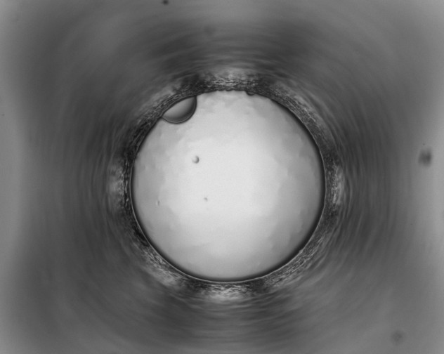 X0000097980569200804071128