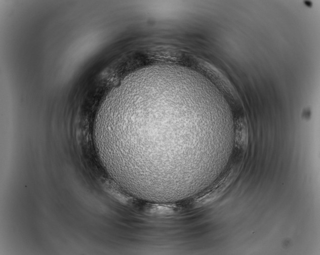X0000097980573200804071128