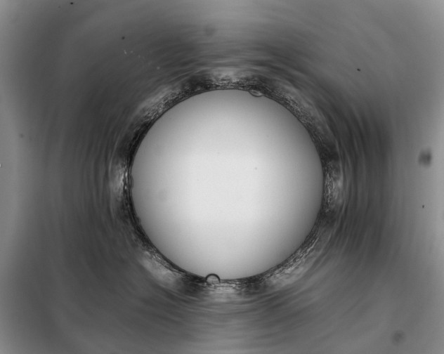 X0000097980574200804071128