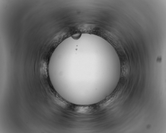 X0000097980575200804071128