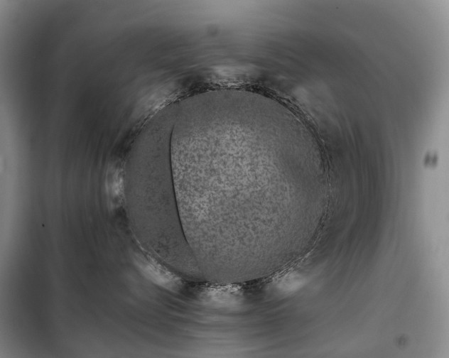 X0000097980576200804071128