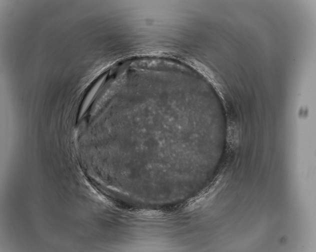 X0000097980577200804071127