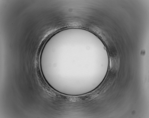 X0000097980579200804071127