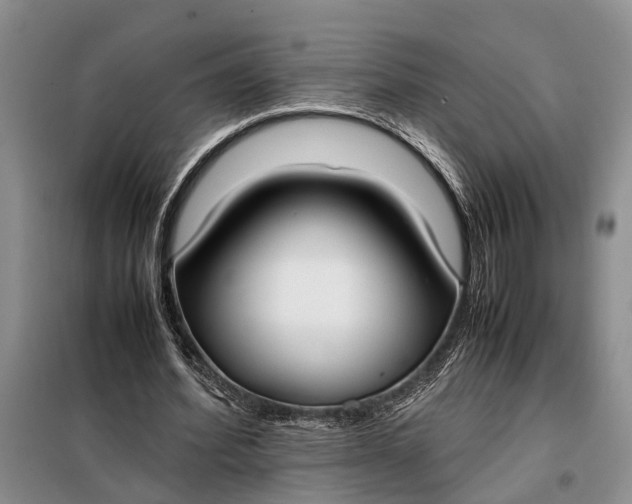 X0000097980580200804071127