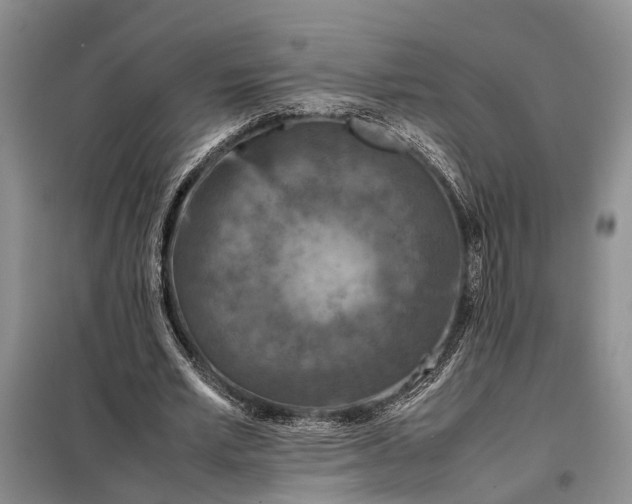 X0000097980581200804071127