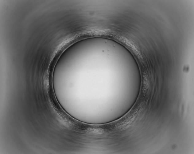 X0000097980582200804071127