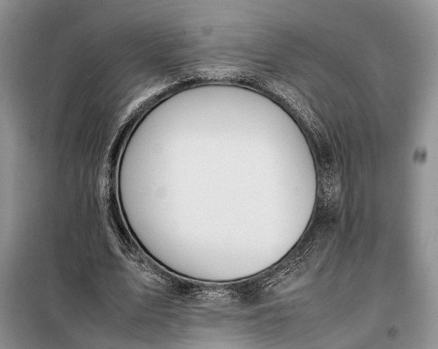 X0000097980583200804071127
