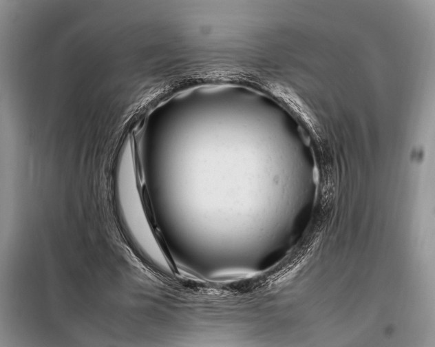 X0000097980585200804071127