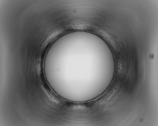 X0000097980586200804071127