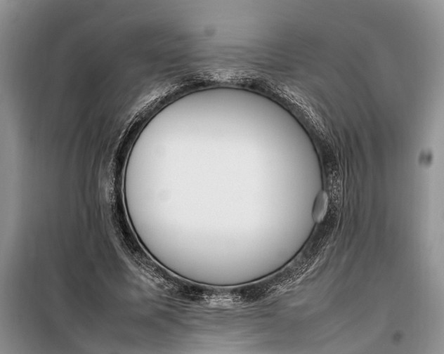 X0000097980587200804071127