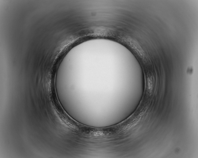 X0000097980588200804071127