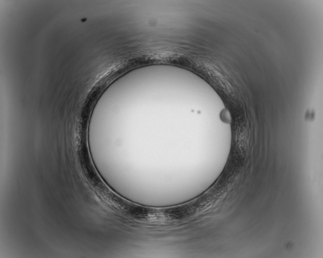 X0000097980591200804071127