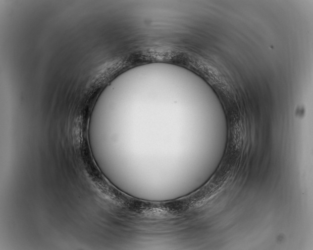 X0000097980594200804071127