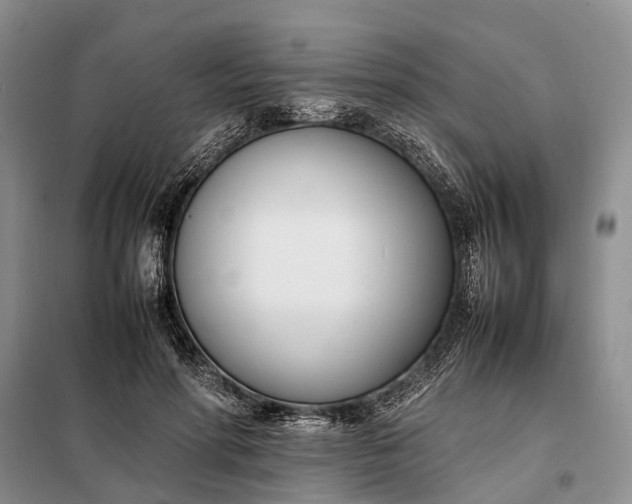 X0000097980598200804071127