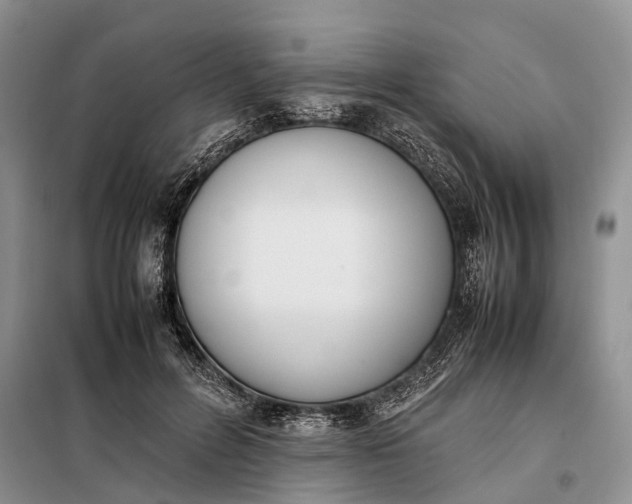X0000097980600200804071127