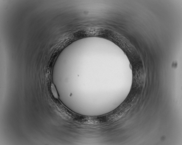 X0000097980601200804071126