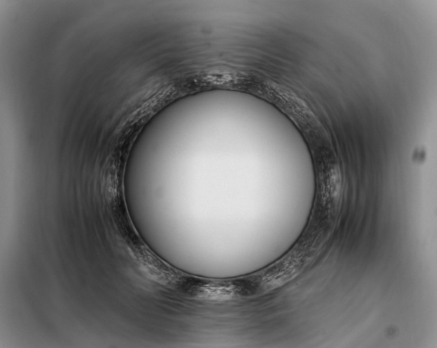 X0000097980606200804071126