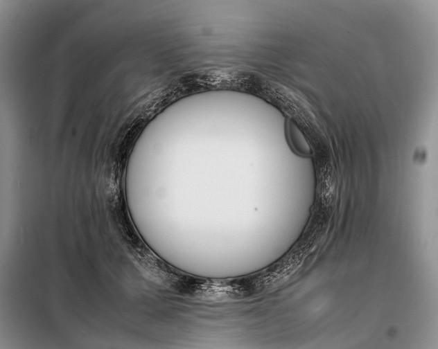 X0000097980607200804071126