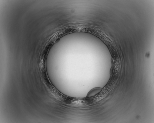X0000097980611200804071126