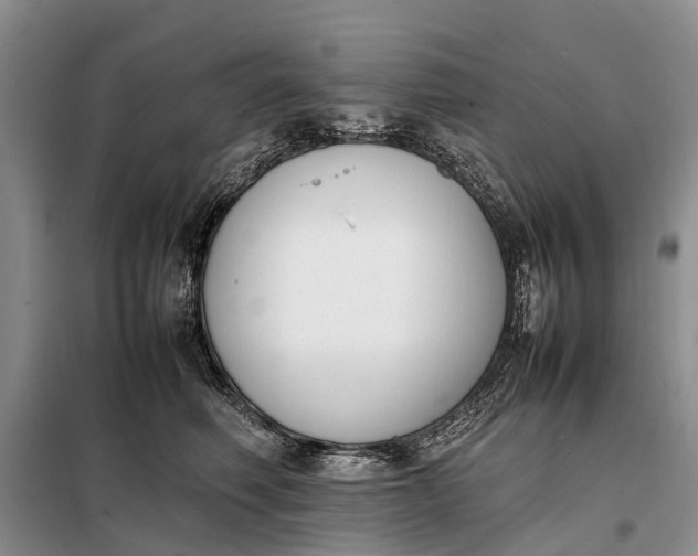X0000097980614200804071126