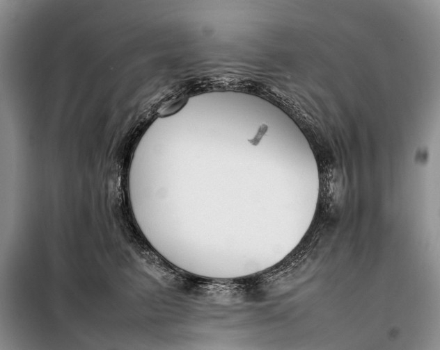 X0000097980615200804071126