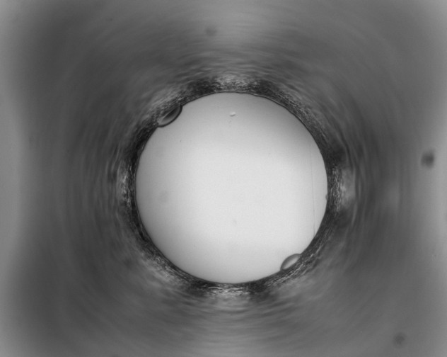 X0000097980619200804071126