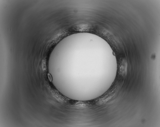 X0000097980620200804071126