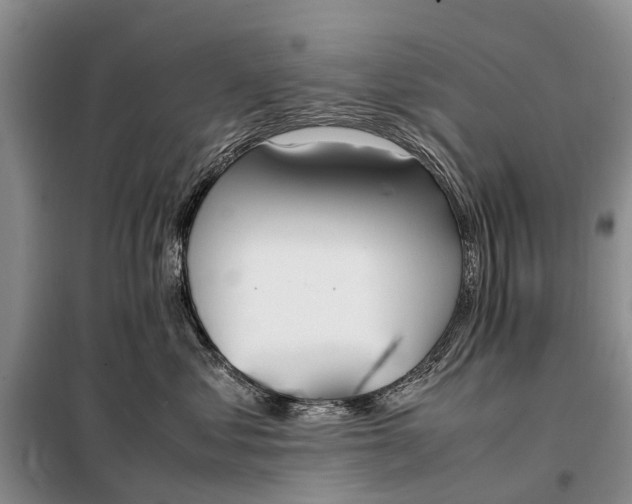 X0000097980621200804071126