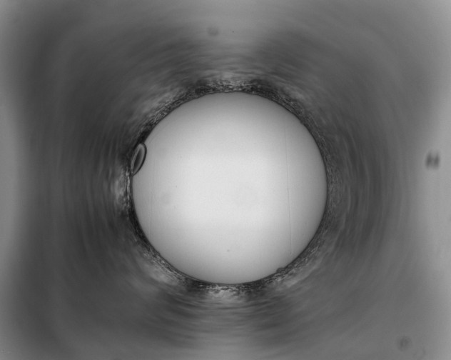 X0000097980624200804071126
