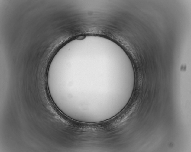 X0000097980625200804071125