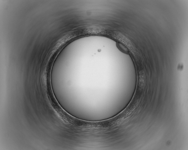 X0000097980626200804071125