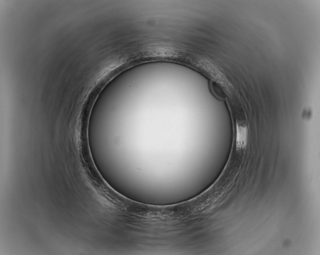 X0000097980627200804071125