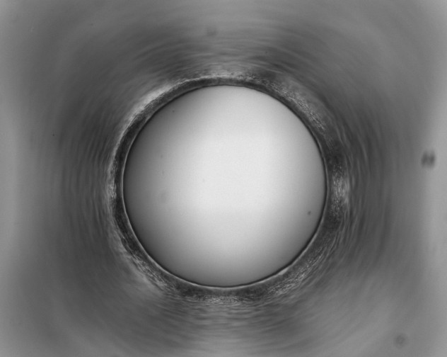 X0000097980628200804071125