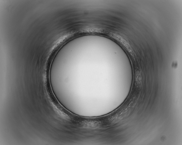 X0000097980629200804071125