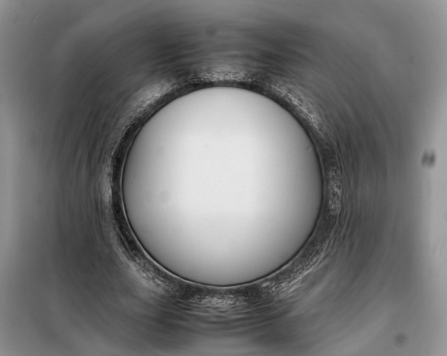 X0000097980631200804071125