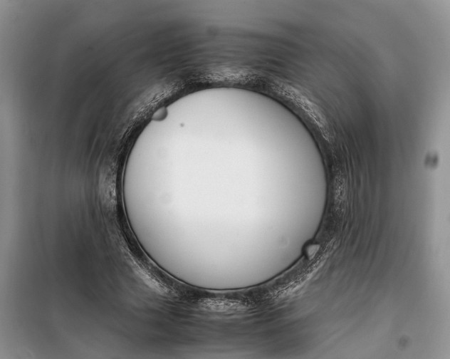 X0000097980633200804071125