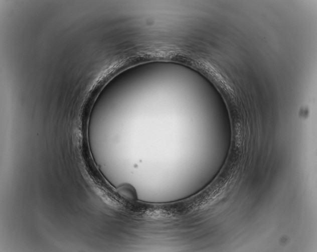 X0000097980634200804071125