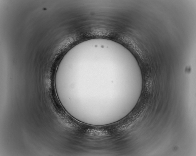 X0000097980635200804071125