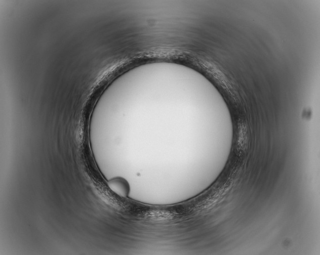 X0000097980636200804071125