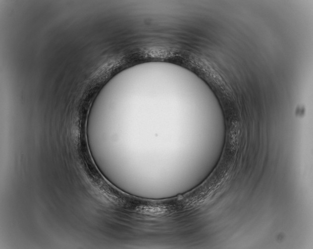 X0000097980639200804071126