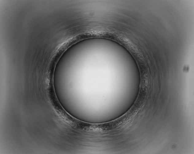 X0000097980640200804071126