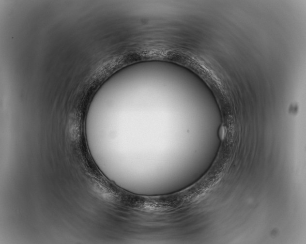 X0000097980641200804071126
