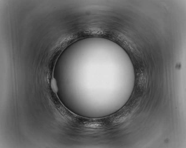 X0000097980643200804071126