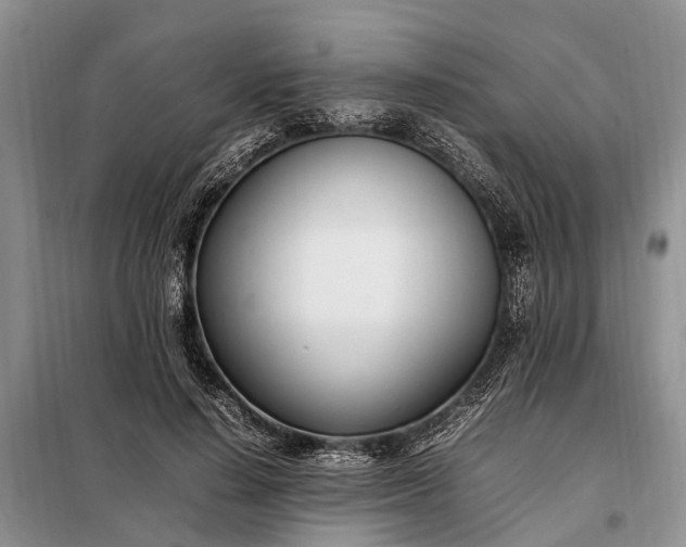 X0000097980644200804071126