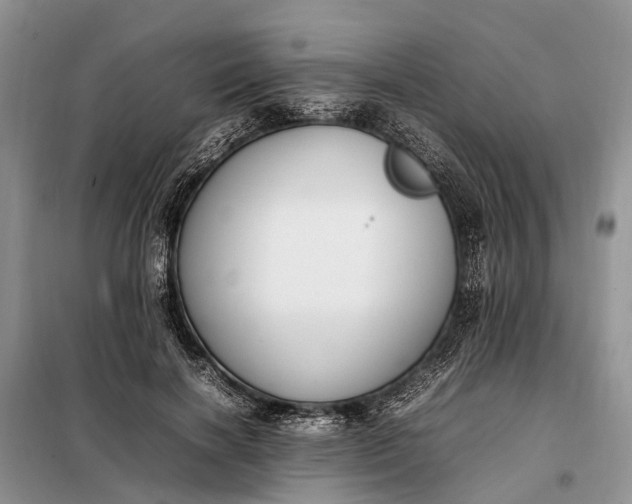 X0000097980646200804071126