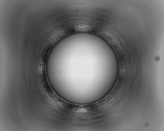 X0000097980647200804071126