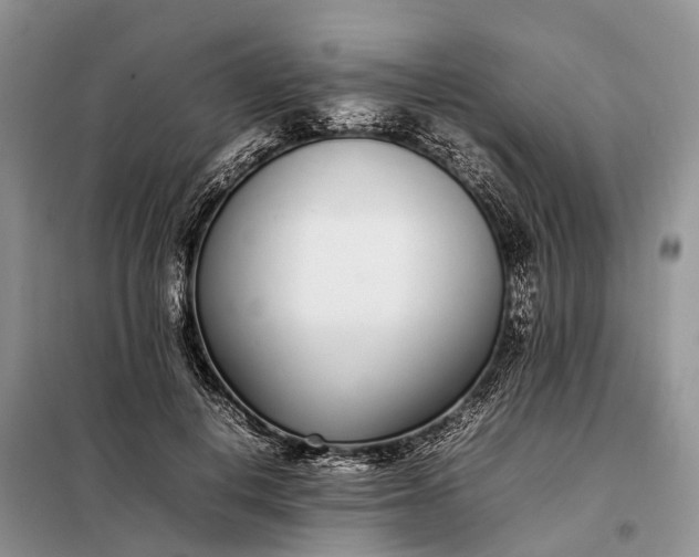 X0000097980648200804071126