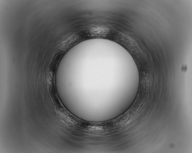 X0000097980649200804071126